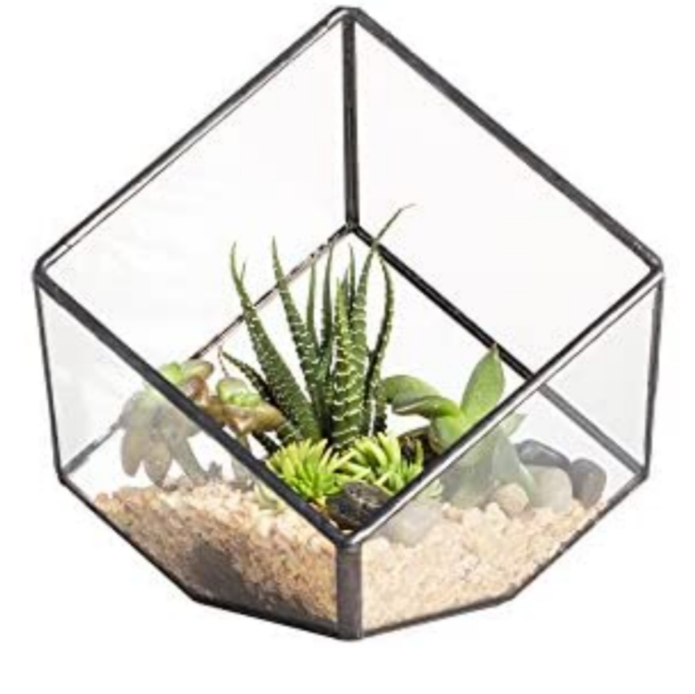 Geometric Decorative Terrarium